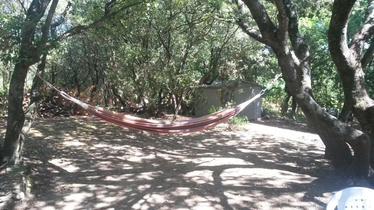 La Casita Villa Avec Piscine Pres D'Uzes Saint-Laurent-la-Vernède Εξωτερικό φωτογραφία